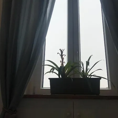 Rosa Casa de hóspedes 3*